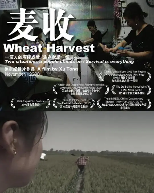 《麦收》：镰刀挥下的不只是稻谷，更是对命运的无声呐喊！