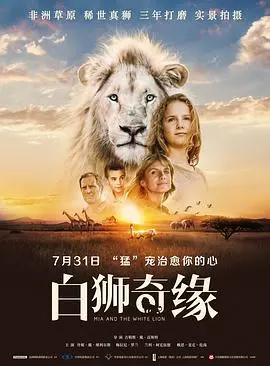 《白狮奇缘》：人狮情未了，真挚情感让人泪目，这趟非洲之旅值了！