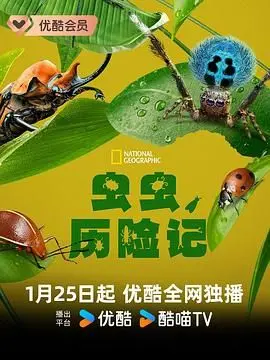 《虫虫历险记》：画面萌翻！一场关于勇气与友谊的奇幻冒险，大人小孩都该看！